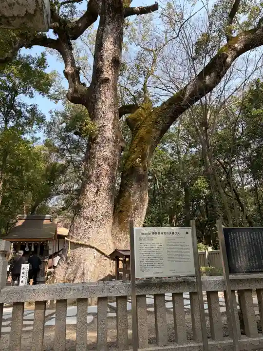 伊弉諾神宮の{uncategorized: "未分類", other: "その他", undefined: "問題あり", building: "その他建物", grave: "お墓", sacred_gate: "鳥居", guardian: "狛犬", statue: "像", buddha: "仏像", history: "歴史", nature: "自然", garden: "庭園", animal: "動物", pagoda: "塔", temizu: "手水舎", mountain_gate: "山門・神門", sanctuary: "本殿・本堂", subordinate: "末社・摂社", art: "芸術", scenery: "景色", jizo: "地蔵", ema: "絵馬", goshuin: "御朱印", omikuji: "おみくじ", items: "授与品その他", amulet: "お守り", goshuincho: "御朱印帳", eats: "食事", festival: "お祭り", votive_dance: "神楽", shichigosan: "七五三参", wedding: "結婚式", experience: "体験その他", initially: "初詣", around: "周辺", anti_infection: "感染症対策"}