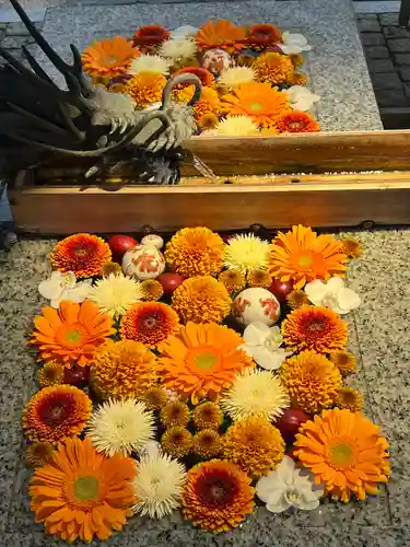 川越八幡宮(埼玉県)