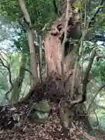 八坂神社(千葉県)