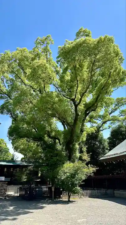 和泉國一之宮 大鳥大社(大阪府)