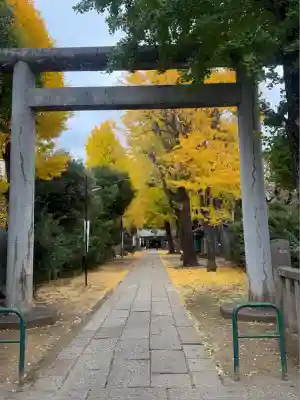 駒込天祖神社(東京都)