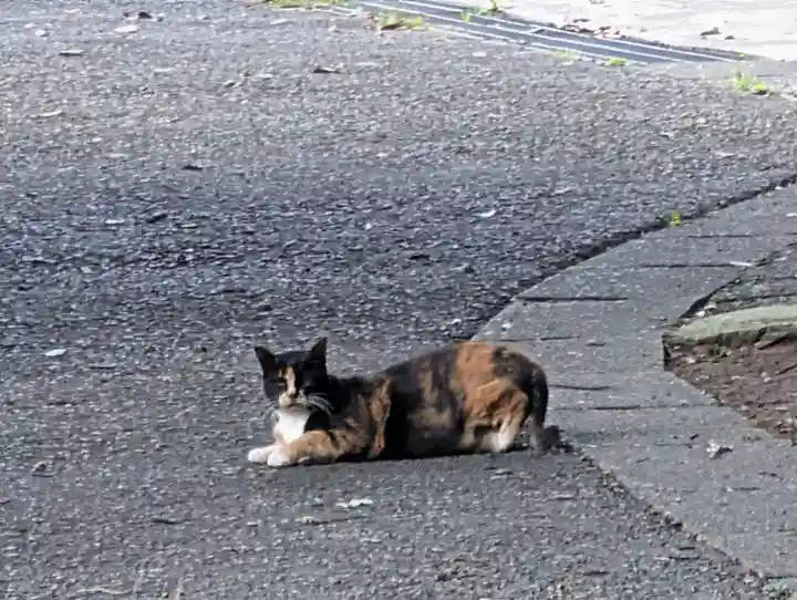 春日神社(神奈川県)