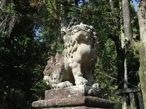 岡崎神社の狛犬