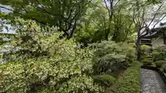 華厳寺（鈴虫寺）(京都府)