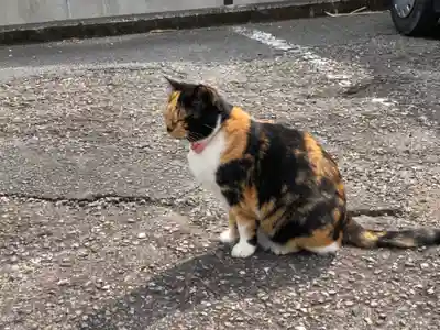 お松大権現の動物