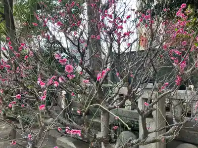 小野照崎神社(東京都)