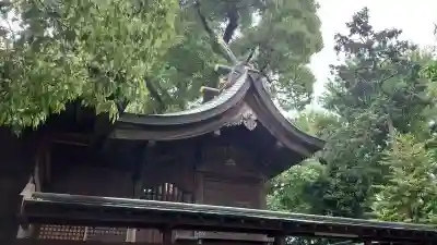 鳩ヶ谷氷川神社の本殿・本堂