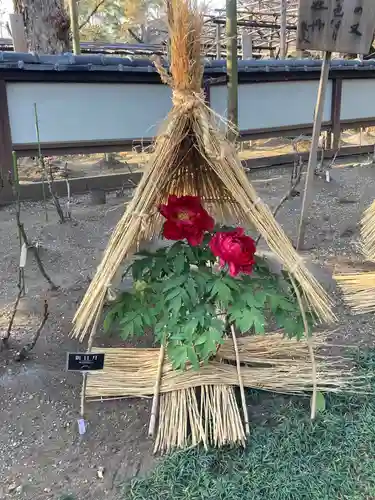 上野東照宮(東京都)