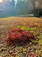 蚊里田八幡宮(長野県)