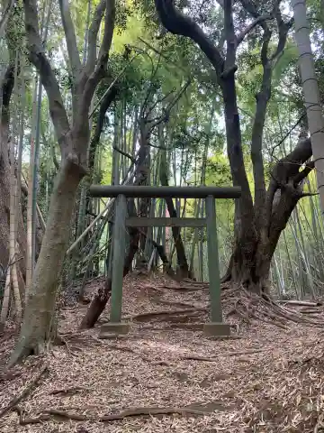 星神社(千葉県)