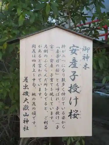差出磯大嶽山神社 仕事と健康と厄よけの神さまの御朱印