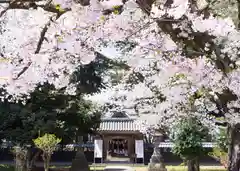 守りの神　藤基神社(新潟県)