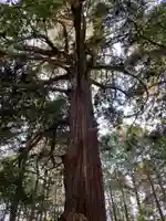 多田神社(兵庫県)