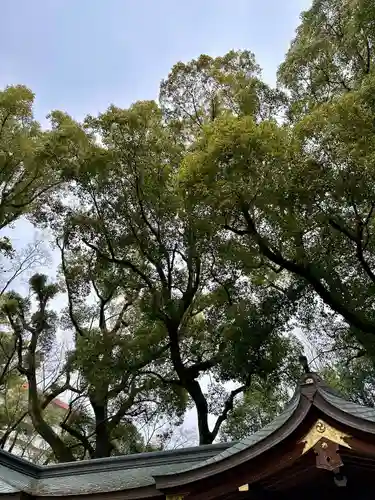 杭全神社(大阪府)