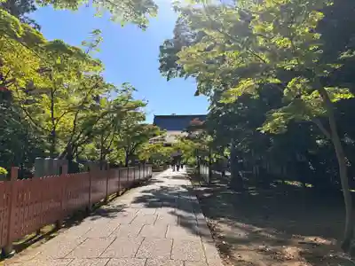 光明寺（粟生光明寺）(京都府)