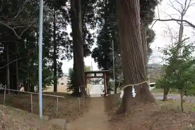 八幡神社(千葉県)