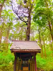 鹿島神社(茨城県)