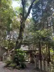 八幡神社松平東照宮の建物その他