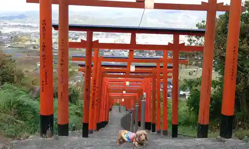 浮羽稲荷神社(福岡県)