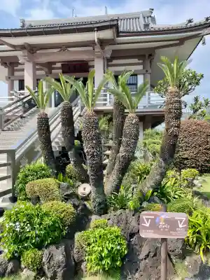 蓮馨寺(静岡県)