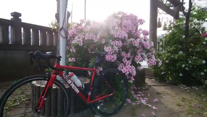 今井神社の自然