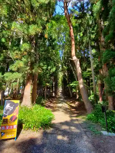土津神社｜こどもと出世の神さまの周辺