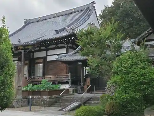 善導寺の本殿・本堂