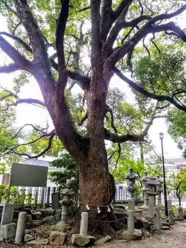 有松天満社の庭園