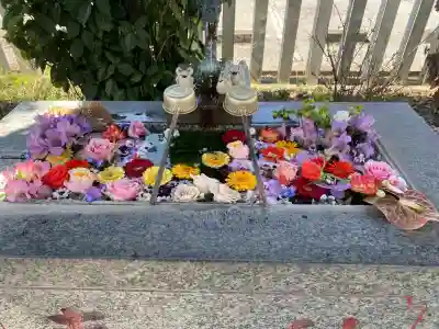 祖母井神社の{uncategorized: "未分類", other: "その他", undefined: "問題あり", building: "その他建物", grave: "お墓", sacred_gate: "鳥居", guardian: "狛犬", statue: "像", buddha: "仏像", history: "歴史", nature: "自然", garden: "庭園", animal: "動物", pagoda: "塔", temizu: "手水舎", mountain_gate: "山門・神門", sanctuary: "本殿・本堂", subordinate: "末社・摂社", art: "芸術", scenery: "景色", jizo: "地蔵", ema: "絵馬", goshuin: "御朱印", omikuji: "おみくじ", items: "授与品その他", amulet: "お守り", goshuincho: "御朱印帳", eats: "食事", festival: "お祭り", votive_dance: "神楽", shichigosan: "七五三参", wedding: "結婚式", experience: "体験その他", initially: "初詣", around: "周辺", anti_infection: "感染症対策"}
