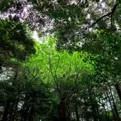 府八幡宮(静岡県)