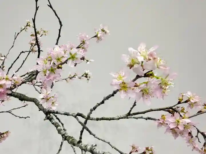 西方山極楽寺(岐阜県)