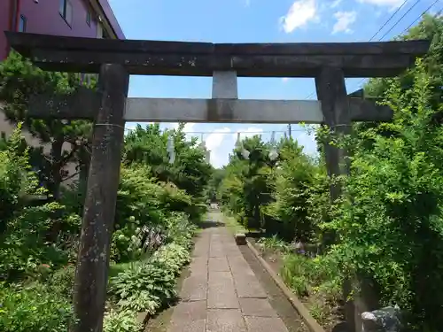 新曽氷川神社の鳥居