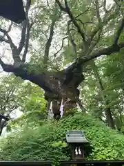 熊野皇大神社(長野県)