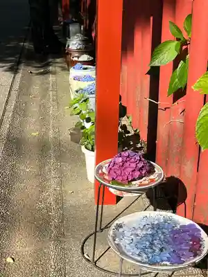 川越八幡宮(埼玉県)