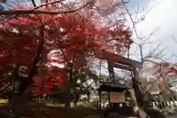 開成山大神宮の鳥居