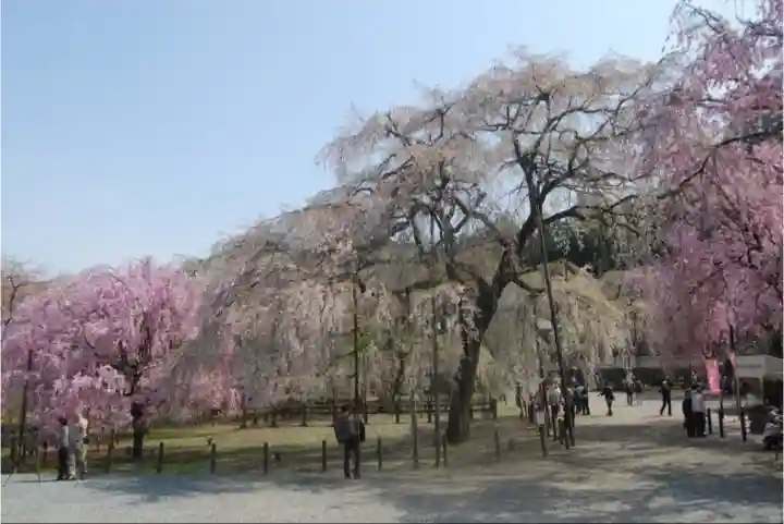 清雲寺(埼玉県)