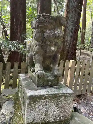 椿大神社の狛犬