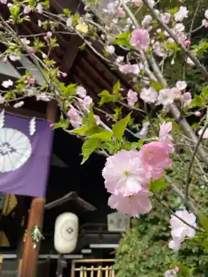 東京大神宮(東京都)