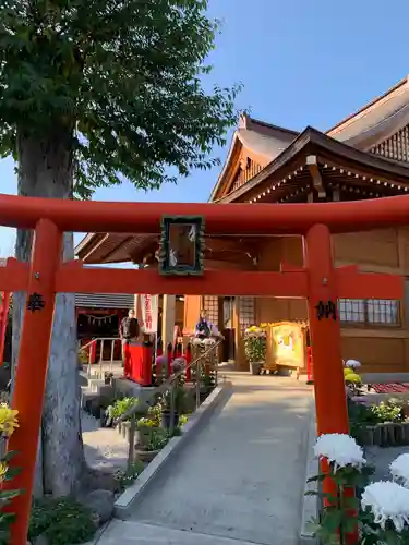 於菊稲荷神社の鳥居