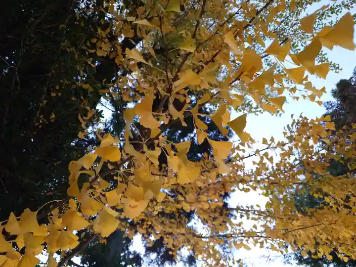 速谷神社(広島県)