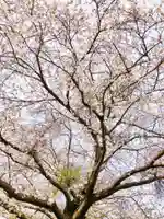 鹿嶋神社(茨城県)