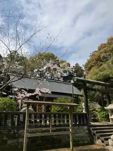 莫越山神社の{uncategorized: "未分類", other: "その他", undefined: "問題あり", building: "その他建物", grave: "お墓", sacred_gate: "鳥居", guardian: "狛犬", statue: "像", buddha: "仏像", history: "歴史", nature: "自然", garden: "庭園", animal: "動物", pagoda: "塔", temizu: "手水舎", mountain_gate: "山門・神門", sanctuary: "本殿・本堂", subordinate: "末社・摂社", art: "芸術", scenery: "景色", jizo: "地蔵", ema: "絵馬", goshuin: "御朱印", omikuji: "おみくじ", items: "授与品その他", amulet: "お守り", goshuincho: "御朱印帳", eats: "食事", festival: "お祭り", votive_dance: "神楽", shichigosan: "七五三参", wedding: "結婚式", experience: "体験その他", initially: "初詣", around: "周辺", anti_infection: "感染症対策"}