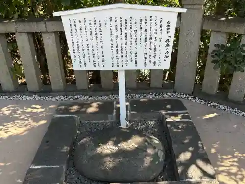 白旗神社の{uncategorized: "未分類", other: "その他", undefined: "問題あり", building: "その他建物", grave: "お墓", sacred_gate: "鳥居", guardian: "狛犬", statue: "像", buddha: "仏像", history: "歴史", nature: "自然", garden: "庭園", animal: "動物", pagoda: "塔", temizu: "手水舎", mountain_gate: "山門・神門", sanctuary: "本殿・本堂", subordinate: "末社・摂社", art: "芸術", scenery: "景色", jizo: "地蔵", ema: "絵馬", goshuin: "御朱印", omikuji: "おみくじ", items: "授与品その他", amulet: "お守り", goshuincho: "御朱印帳", eats: "食事", festival: "お祭り", votive_dance: "神楽", shichigosan: "七五三参", wedding: "結婚式", experience: "体験その他", initially: "初詣", around: "周辺", anti_infection: "感染症対策"}