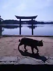 薦神社の動物