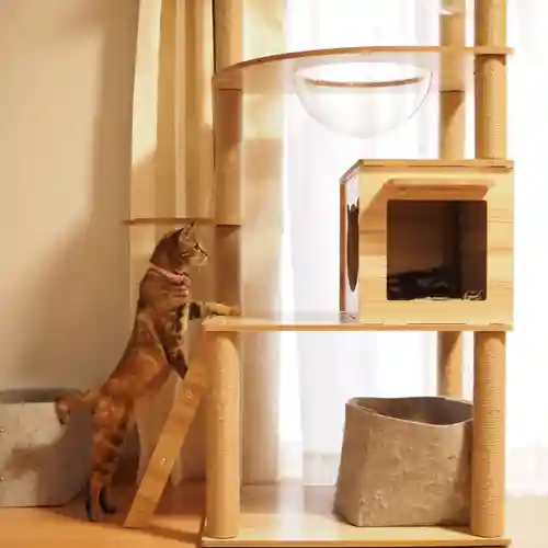 天王山 安楽寺(福井県)