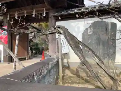 妙法寺(神奈川県)