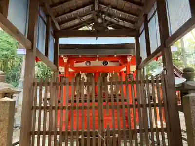 新殿神社(京都府)