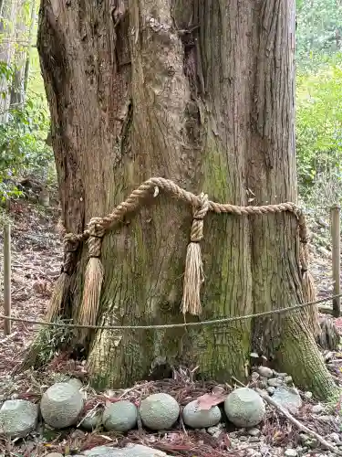 正法寺(滋賀県)