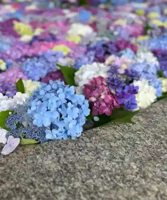 太宰府天満宮(福岡県)