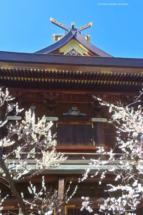 湯島天満宮(東京都)